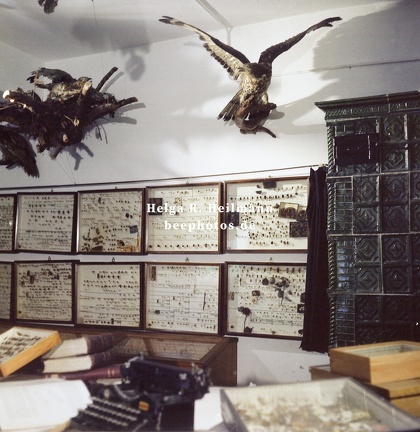 Das Brunnwinkler Museum - Impressionen