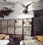 Das Brunnwinkler Museum - Impressionen